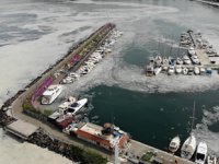 Çanakkale Boğazı, deniz salyası ile kaplandı