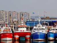 Fransa ile İngiltere arasında 'balıkçılık' gerilimi sürüyor