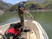 Hasan Uğurlu Barajı’nda 2 bin metre ağa el konuldu