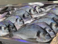 Türkiye'nin su ürünleri ihracatı 2020'de 1 milyar doları aştı