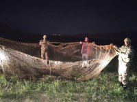 Van Gölü’nde 16 ton inci kefali ele geçirildi