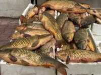 Kızılırmak’tan kaçak balık tutan şüpheli yakalandı