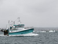 AB ve İngiltere, 2021 yılı için balıkçılık kotalarında anlaştı