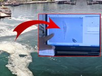 Müsilaj felaketinin ilk örneklerinin sonuçları ortaya çıktı