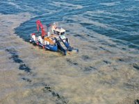 İstanbul Üniversitesi, müsilajı temizlemek için deniz bakterilerini kullanacak