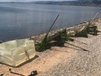 İzmit Körfezi'nde kaçak midye avcıları yakalandı