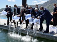 Eğirdir Gölü’ne 20 bin sazan yavrusu bırakıldı