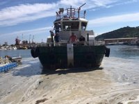 Marmara'da müsilaj temizleme çalışmaları devam ediyor