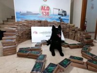 Mersin'deki kokain operasyonuyla ilgili 1 kişi tutuklandı