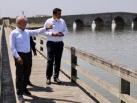 Büyükçekmece Gölü'ndeki balık ölümlerinin nedeni belli oldu