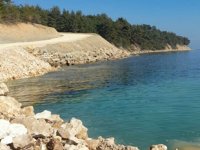 BOTAŞ, Saros'taki ÇED kararıyla ilgili açıklama yaptı