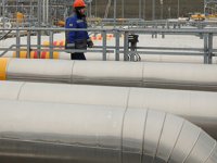 TürkAkım, Macaristan'a uzatıldı