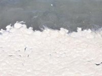 Datça'da denizde oluşan kirlilikle ilgili inceleme başlatıldı