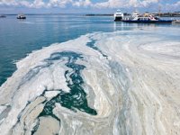 ‘Müsilaj Araştırmaları Çağrısı’ projesine başvurular başladı