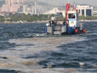 İzmit Körfezi’nde müsilaj çalışmaları sürüyor