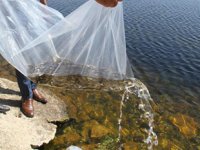 Konya’da 21 göl ve gölete 1 milyon 8 bin yavru sazan bırakıldı