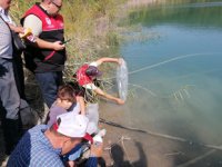 Manyas ve Kepsut göletlerine yavru sazan bırakıldı