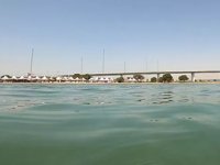 Altınova'da deniz altında müsilaja rastlanılmadı