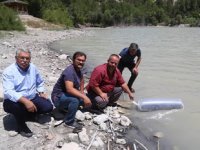 Kolak Gölü’ne 10 bin adet yavru sazan balığı bırakıldı