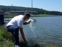 Düzce’de göllere 70 bin adet yavru sazan balığı bırakıldı