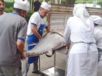 Bursa’da balık sezonu sıkı denetimle başladı