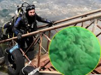 Marmara Denizi’nin dibindeki müsilajın son hali görüntülendi