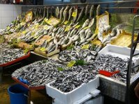 Balık fiyatları düşmek için gün sayıyor