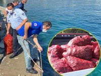 Sarıyer sahilinde 4 ton midye ele geçirildi