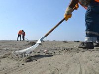 Samandağ sahilinde petrol atıkları temizliği sürüyor