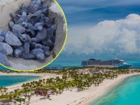 MSC Ocean Cay Marine Reserve Adası’nda yüzlerce caretta yavrusu tespit edildi
