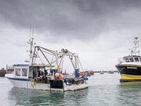 Fransa ile İngiltere arasında balıkçılık krizi yeniden alevlendi
