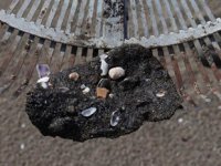 Samandağ sahillerinde petrol sızıntısının temizlik çalışmaları sürüyor