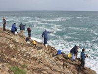 Hamsilos balıkçıların da gözdesi oldu