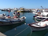Zonguldaklı balıkçılar, yeni sezonda istediğini bulamadı