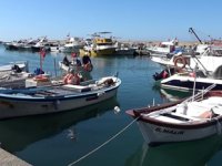 Zonguldaklı balıkçılar, yeni sezonda istediğini bulamadı