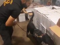 Limakport İskenderun’da 200 kilogram uyuşturucu hap ele geçirildi