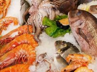 2050 yılında deniz ürünleri tüketimi yüzde 80 artacak