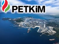 Petkim, global ESG derecelendirmesinde 206 şirket arasında 8. oldu