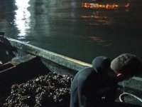 İzmit Körfezi'nde kaçak midye avcılarına geçit yok