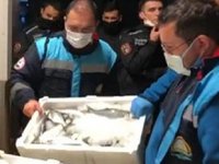 Gürpınar Su Ürünleri Hali'nde 5 ton balığa el konuldu