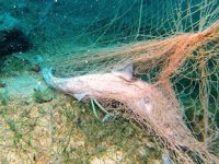 Hayâlet ağlar beyaz eşya sektörüne hammadde olacak