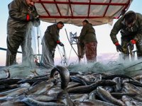 30 yıldır aynı teknede ekmek mücadelesi veriyorlar