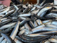 Fiyatı düşen hamsi, vatandaşların yüzünü güldürdü