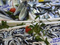 Balıkçı tezgahlarında durgunluk yaşanıyor