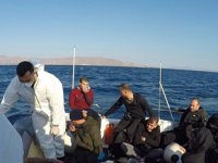 Datça açıklarında 31 düzensiz göçmen kurtarıldı