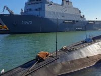 Hollanda'da denizaltının üzerinde deniz aygırı bulundu