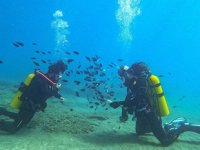 Mersin sahilleri yılın 12 ayı dalış tutkunlarının uğrak yeri oluyor