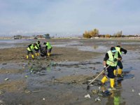 Van Gölü sahilinde 40 ton çöp toplandı