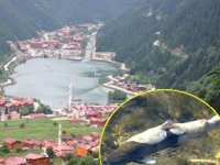 Uzungöl'deki balık ölümleri tedirginlik yarattı