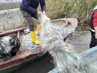 Arnavutköy'de yasadışı balık avcılığına ceza yağdı